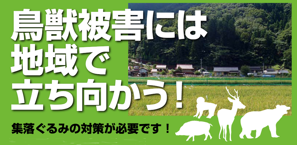 緩衝帯整備 下塚田ふるさと応援隊